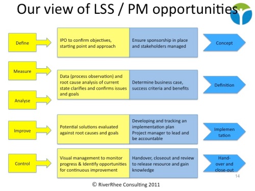 Riddell and Goodman on LSS and Project Management