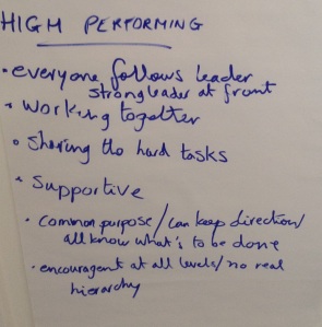 Some of the lessons from geese for high performing teams
