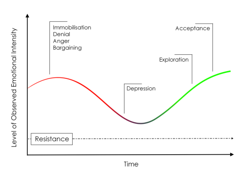 Negative change curve - from "The Effective Team's Change Management Workbook", RiverRhee Publishing, 2013